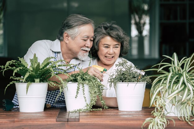 Des couples de personnes âgées discutant ensemble et plantent des arbres dans des pots.