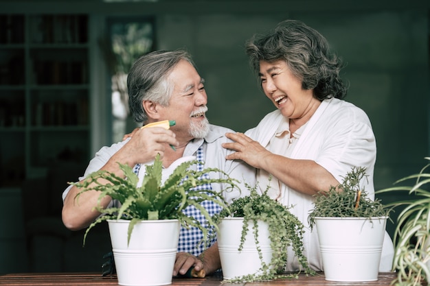 Des couples de personnes âgées discutant ensemble et plantent des arbres dans des pots.