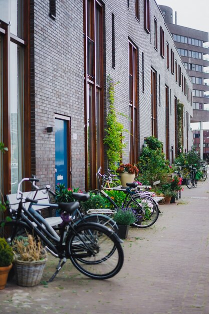 cours confortables d’Amsterdam, bancs, vélos, fleurs dans des bacs.