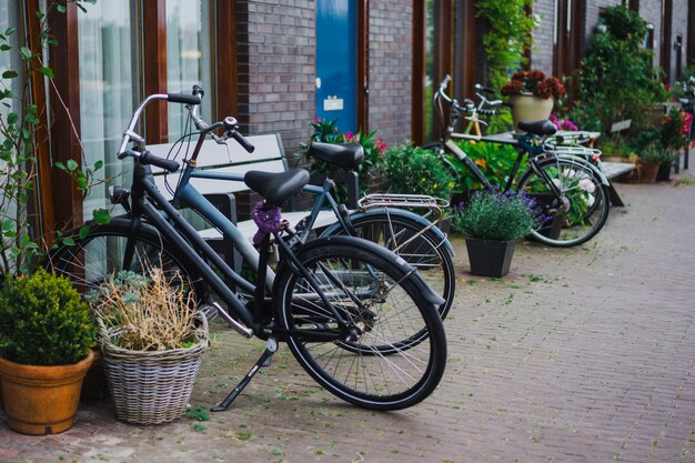 cours confortables d’Amsterdam, bancs, vélos, fleurs dans des bacs.