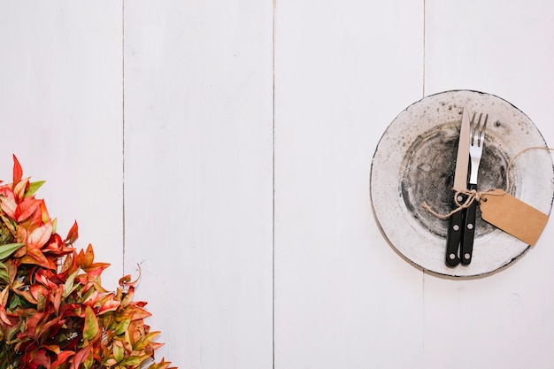 Photo gratuite couverts à côté des feuilles d'automne