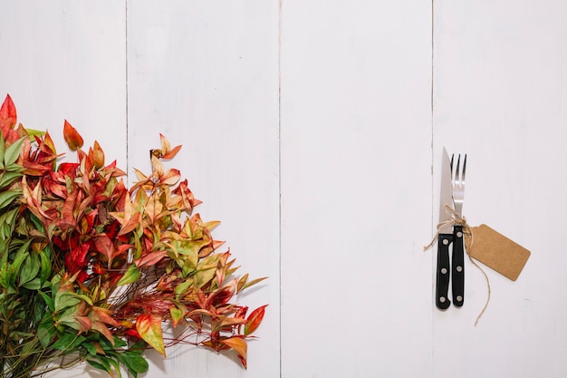 Couverts à côté des feuilles