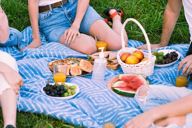 Couverture de pique-nique avec goodies et désinfectant pour les mains