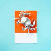 Photo gratuite crabe argenté sur papier