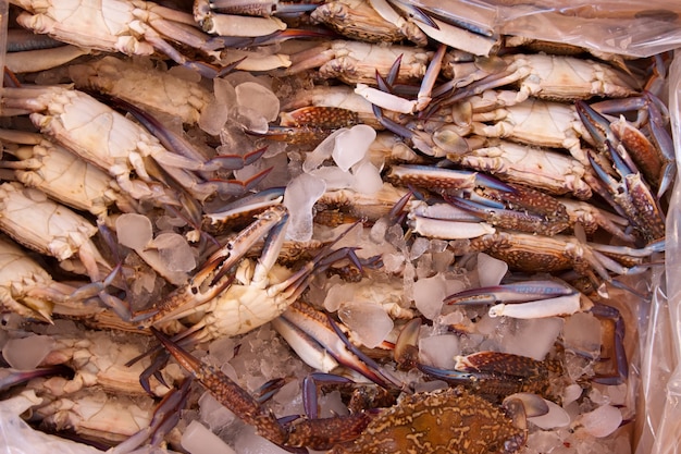 Photo gratuite crabes sur comptoir du marché