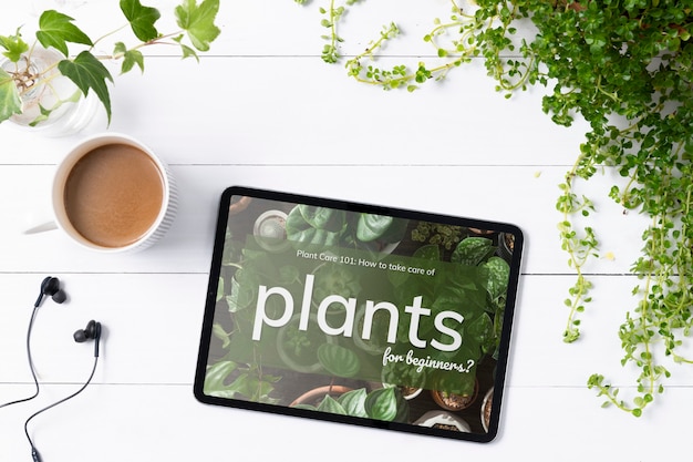 Écran de tablette numérique vierge en arrière-plan de plantes d'intérieur