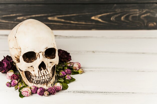 Crâne effrayant et fleurs lilas
