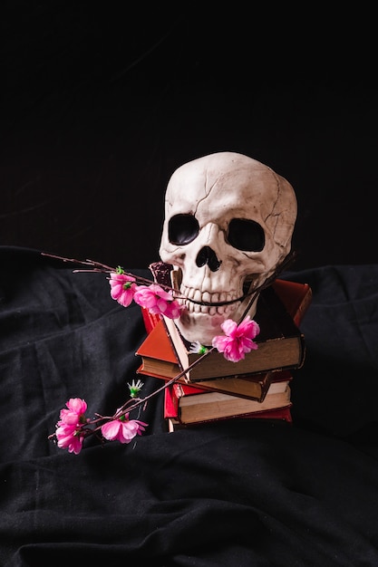 Photo gratuite cranium avec des fleurs en plastique sur pile de tomes