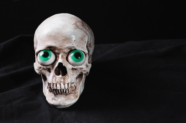 Cranium avec des yeux de jouet