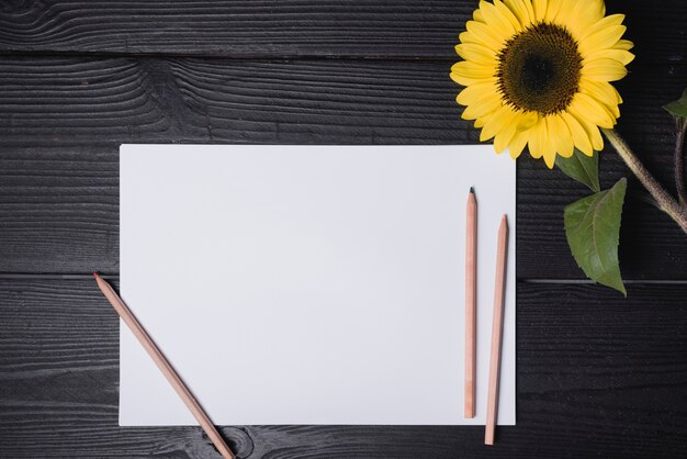 Crayons de couleur sur papier blanc avec tournesol sur fond texturé en bois