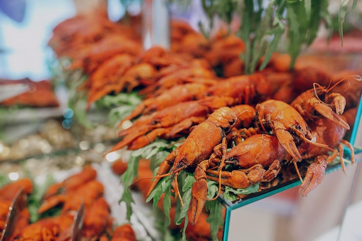Photo gratuit crevettes