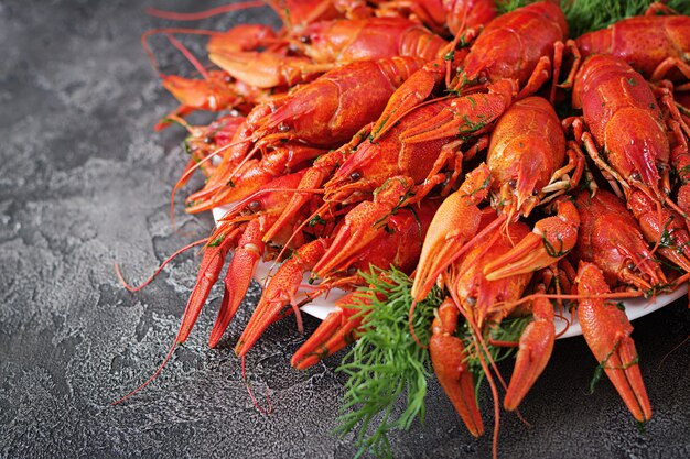 Écrevisse. Écrevisses bouillies rouges sur table dans un style rustique, gros plan. Gros plan de homard. Conception de bordure