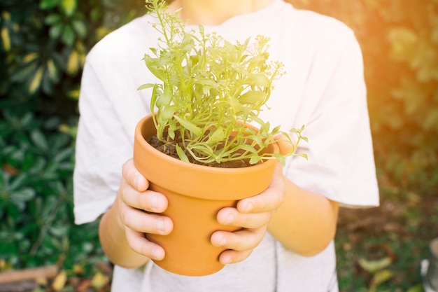 Crop enfant avec plante verte en pot