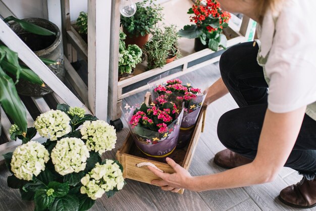 Crop fleuriste boîte de levage avec des fleurs