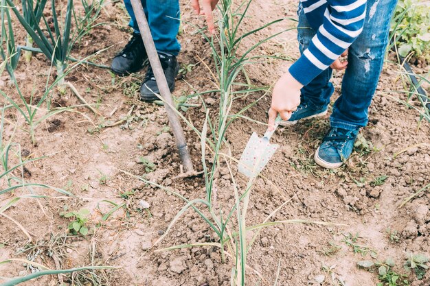 Crop frères et sœurs tendant l&#39;échalote