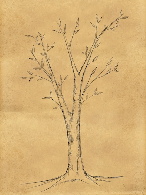 Photo gratuite croquis d'arbre de branche sur papier