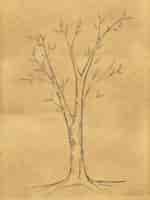 Photo gratuite croquis d'arbre de branche sur papier