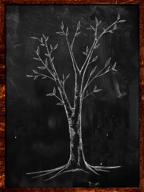 Photo gratuite croquis d'arbre de branche sur tableau noir