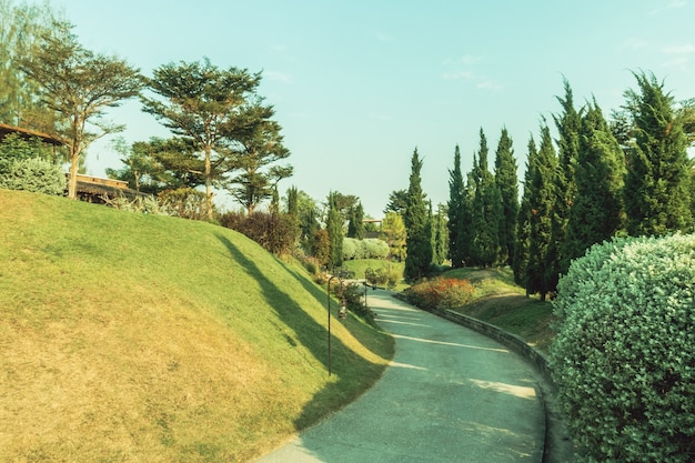 cru nature jardin lumière pâques