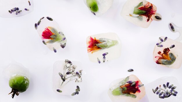 Cubes de glace avec des fleurs et des graines