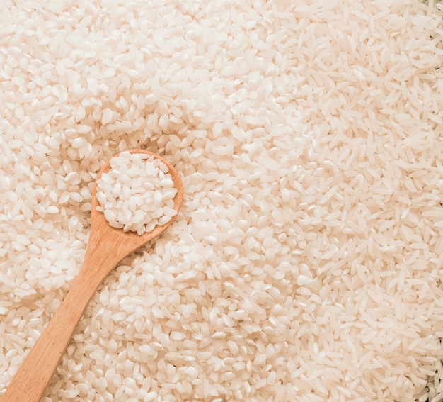 Cuillère en bois en grains de riz blanc non cuits