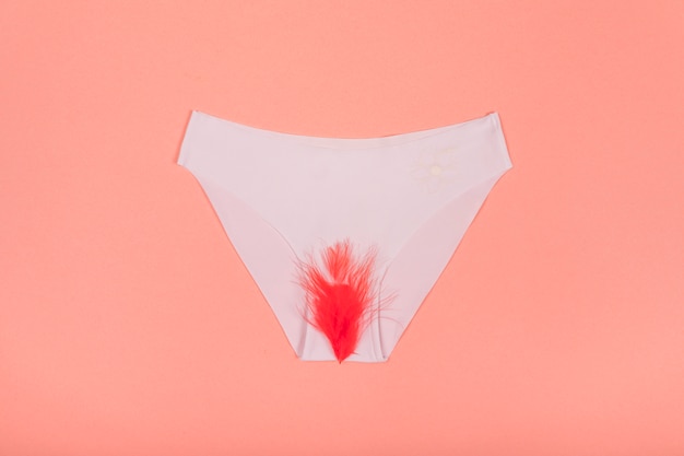 Culotte à fourrure rouge