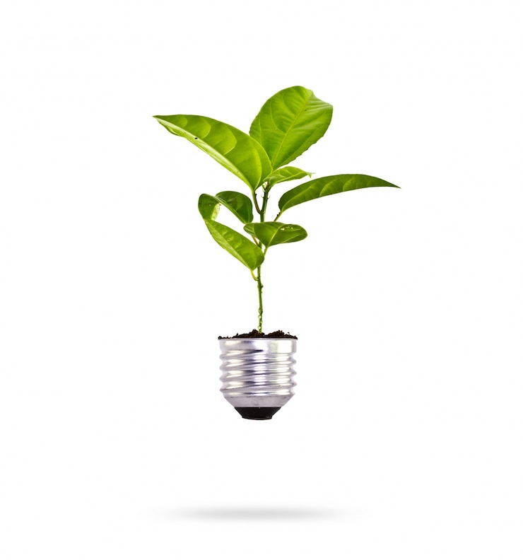 Photo gratuit culture des plantes dans une ampoule