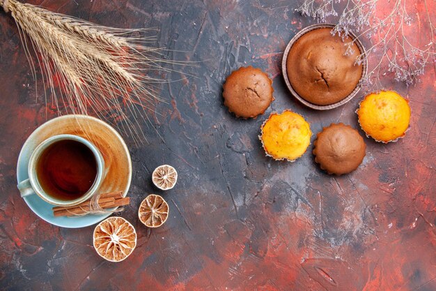 cupcakes une tasse de gâteau au chocolat tealemon quatre cupcakes sur la table bleu-rouge