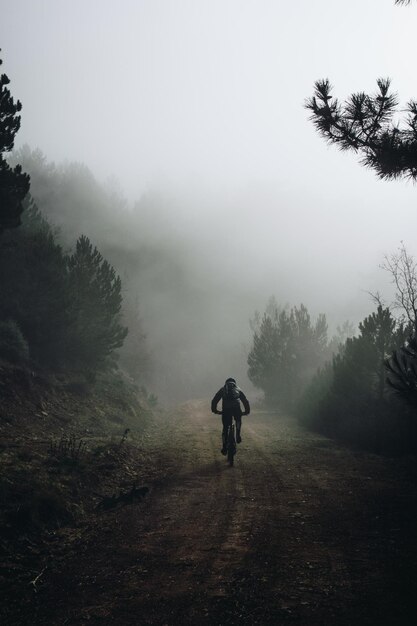 Cycliste à cheval sur une longue route étroite à travers la forêt