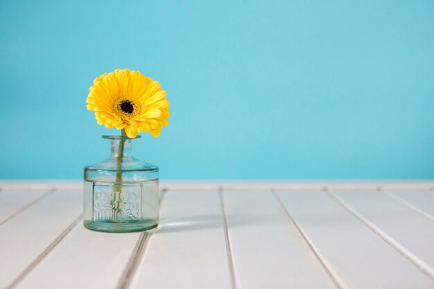 daisy décoratif sur vase en verre