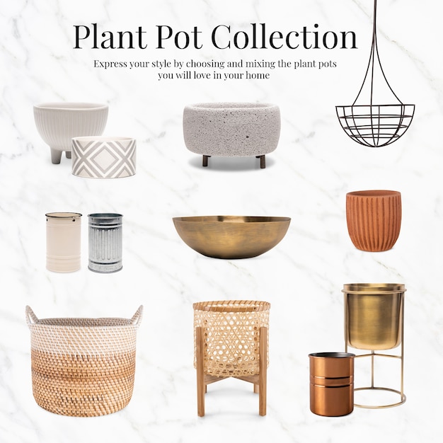 Photo gratuite décor à la maison de collection de pots de plantes