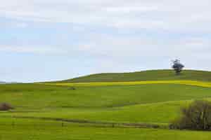 Photo gratuite décor d'une terre de ranch roulant sous le ciel clair à petaluma, californie, usa
