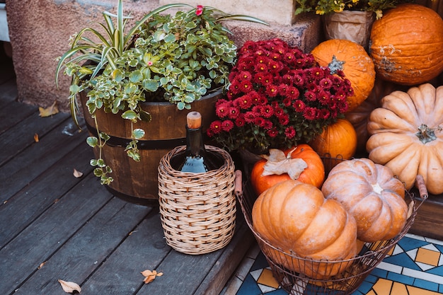 Décoration d'automne avec des citrouilles et des fleurs dans une rue