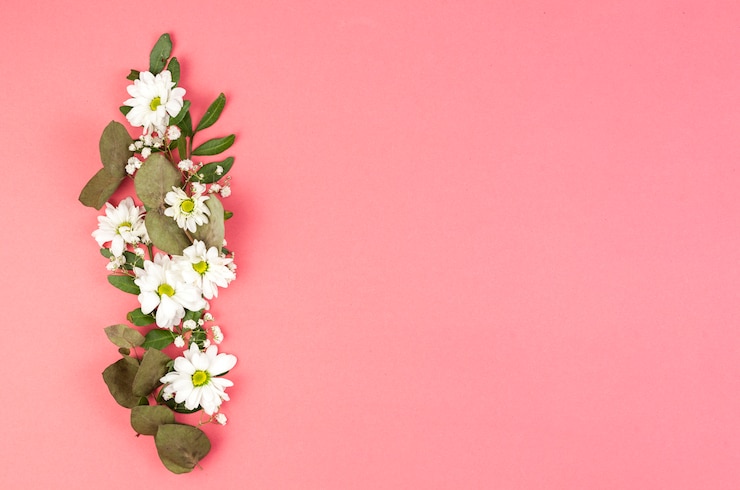 Photo gratuit décoration faite avec des fleurs de marguerite blanche et des feuilles sur fond de pêche