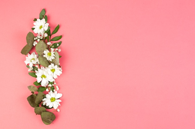 Décoration faite avec des fleurs de marguerite blanche et des feuilles sur fond de pêche