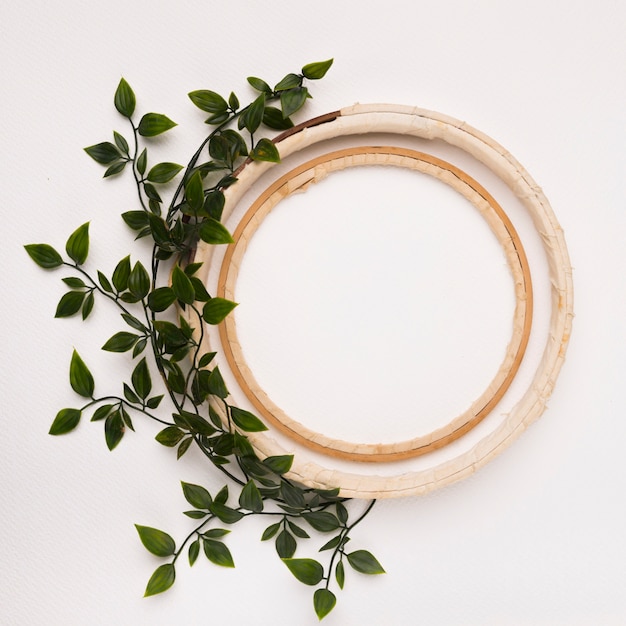 Photo gratuite décoration de feuilles avec un cercles de bois vides sur fond blanc