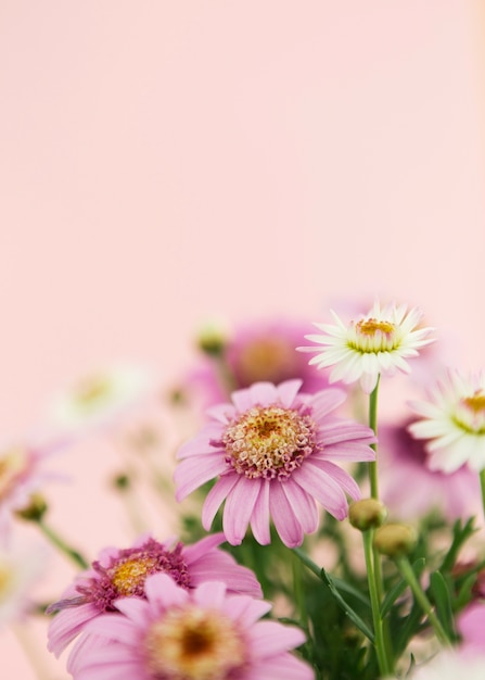 Photo gratuite décoration avec des fleurs printanières colorées