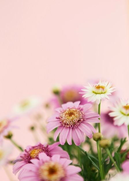 Décoration avec des fleurs printanières colorées