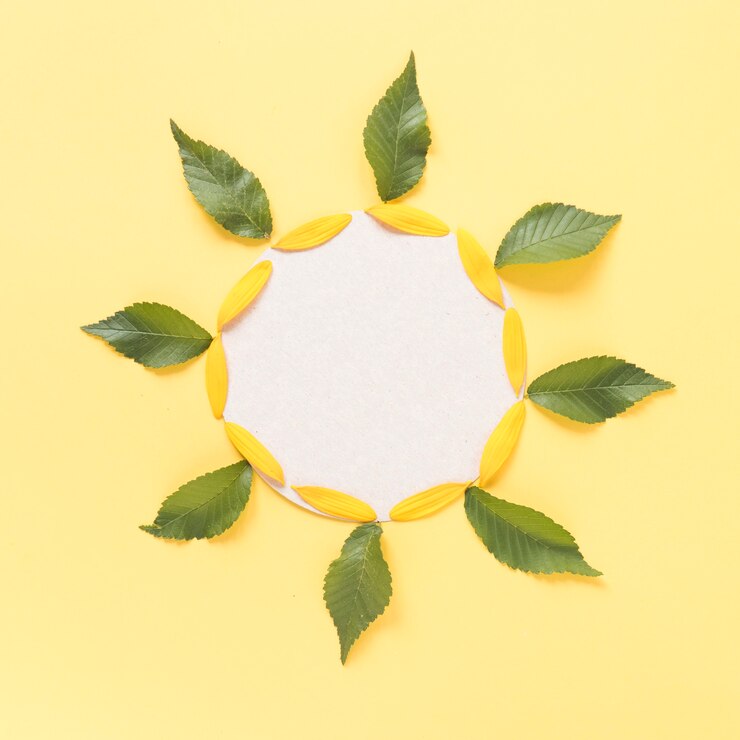 Photo gratuit décoration en forme de tournesol composée de feuilles; pétales et papier carton blanc