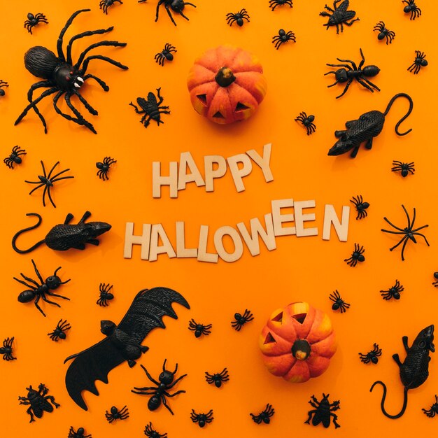 Décoration Halloween avec des citrouilles et des insectes