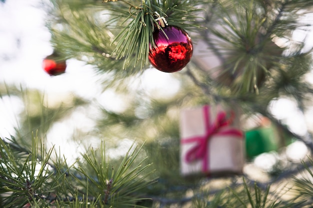 Photo gratuite décoration de noël dans la nature