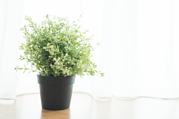 Photo gratuite décoration de plante de vase dans la maison au côté de la fenêtre