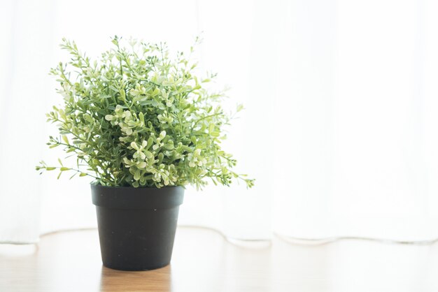 Décoration de plante de vase dans la maison au côté de la fenêtre