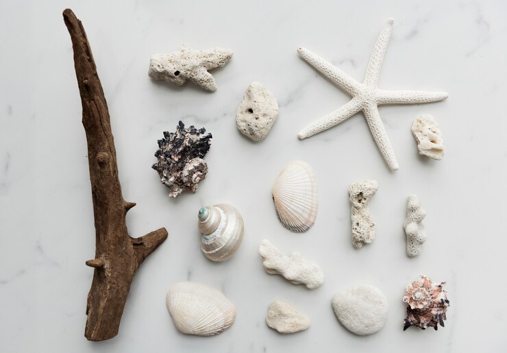 Photo gratuit décorations sur le thème de la plage