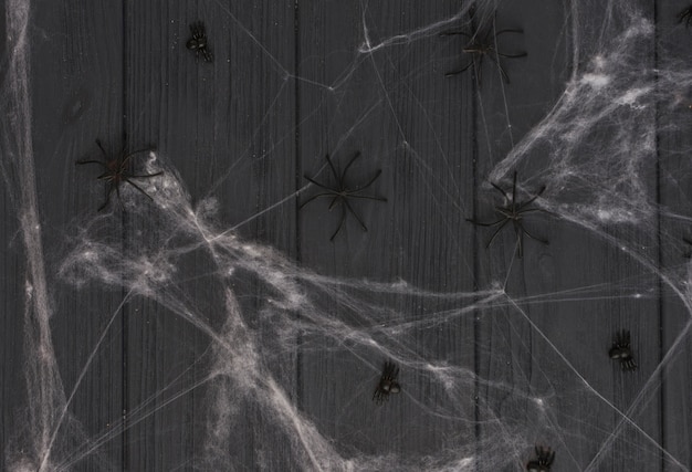 Décorer des araignées entre les toiles d&#39;araignée