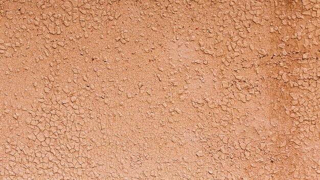 Découpez la peinture au saumon d'une texture de mur