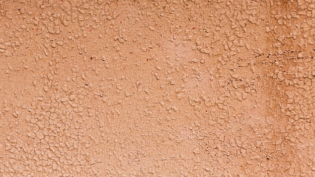 Découpez la peinture au saumon d'une texture de mur