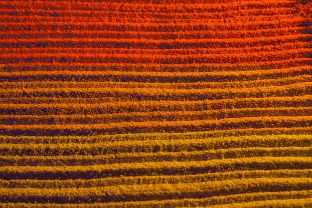 Dégrader les couleurs avec des lignes de sable