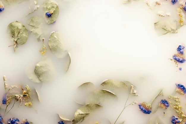 Photo gratuite délicates fleurs bleu foncé dans de l'eau de couleur blanche