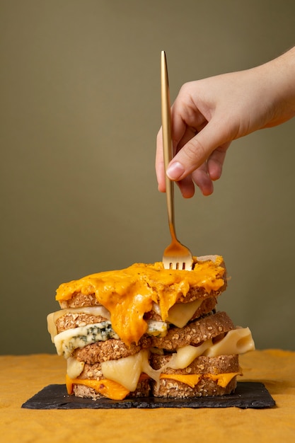 Photo gratuite de délicieuses collations au fromage fondu